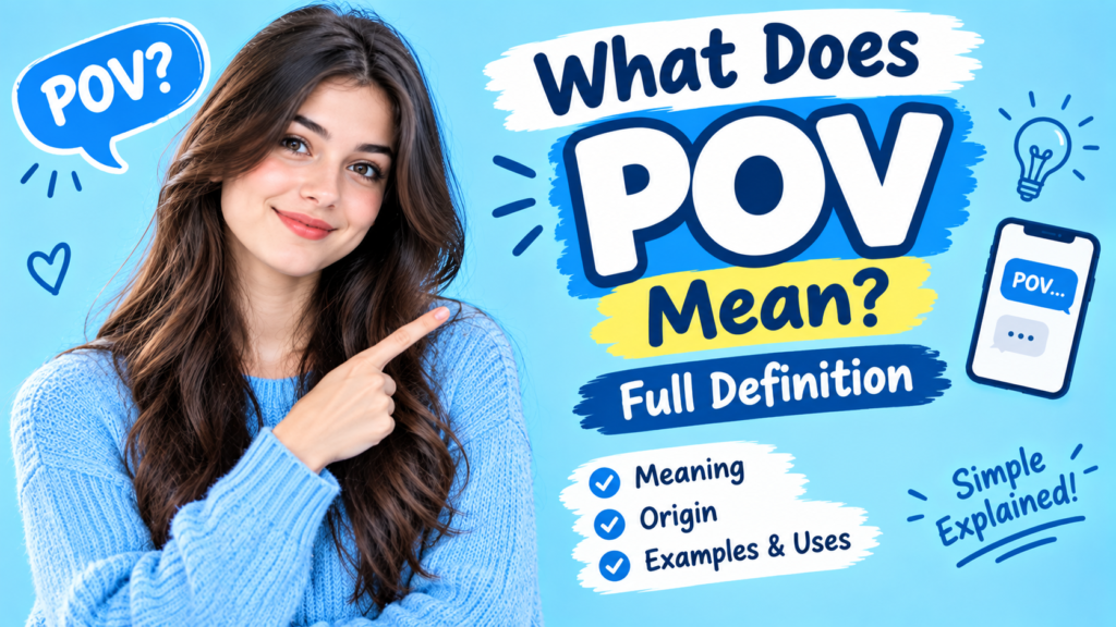 What Does POV Mean Full Definition